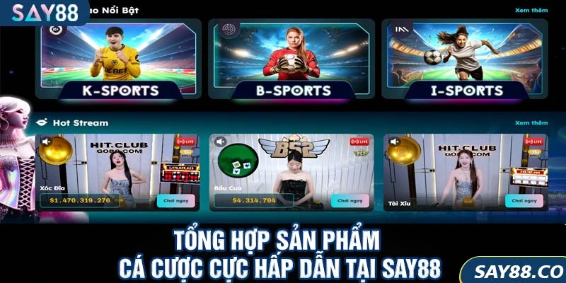 SAY88 3 Tổng hợp sản phẩm cá cược cực hấp dẫn tại SAY88